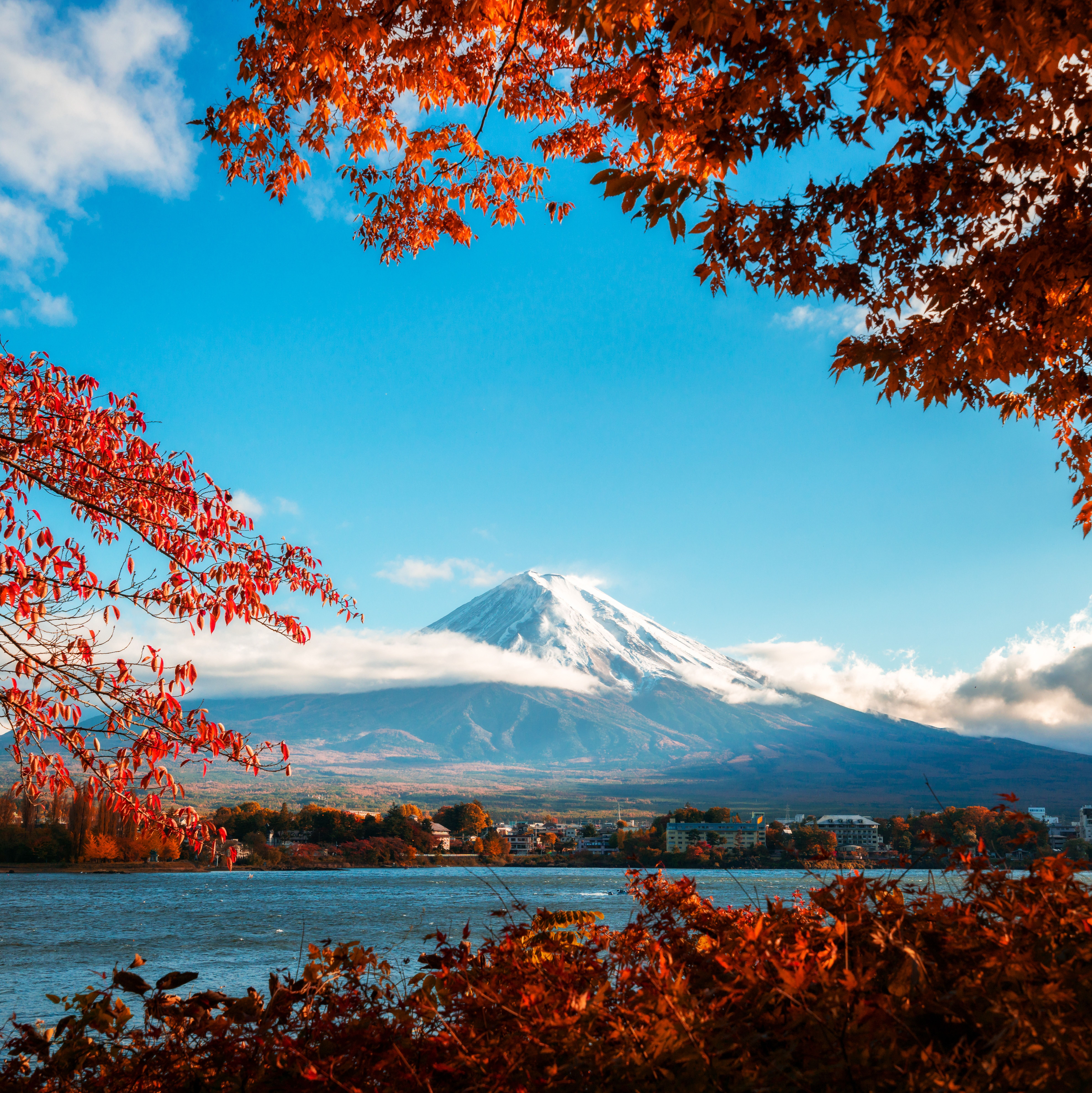 富士山