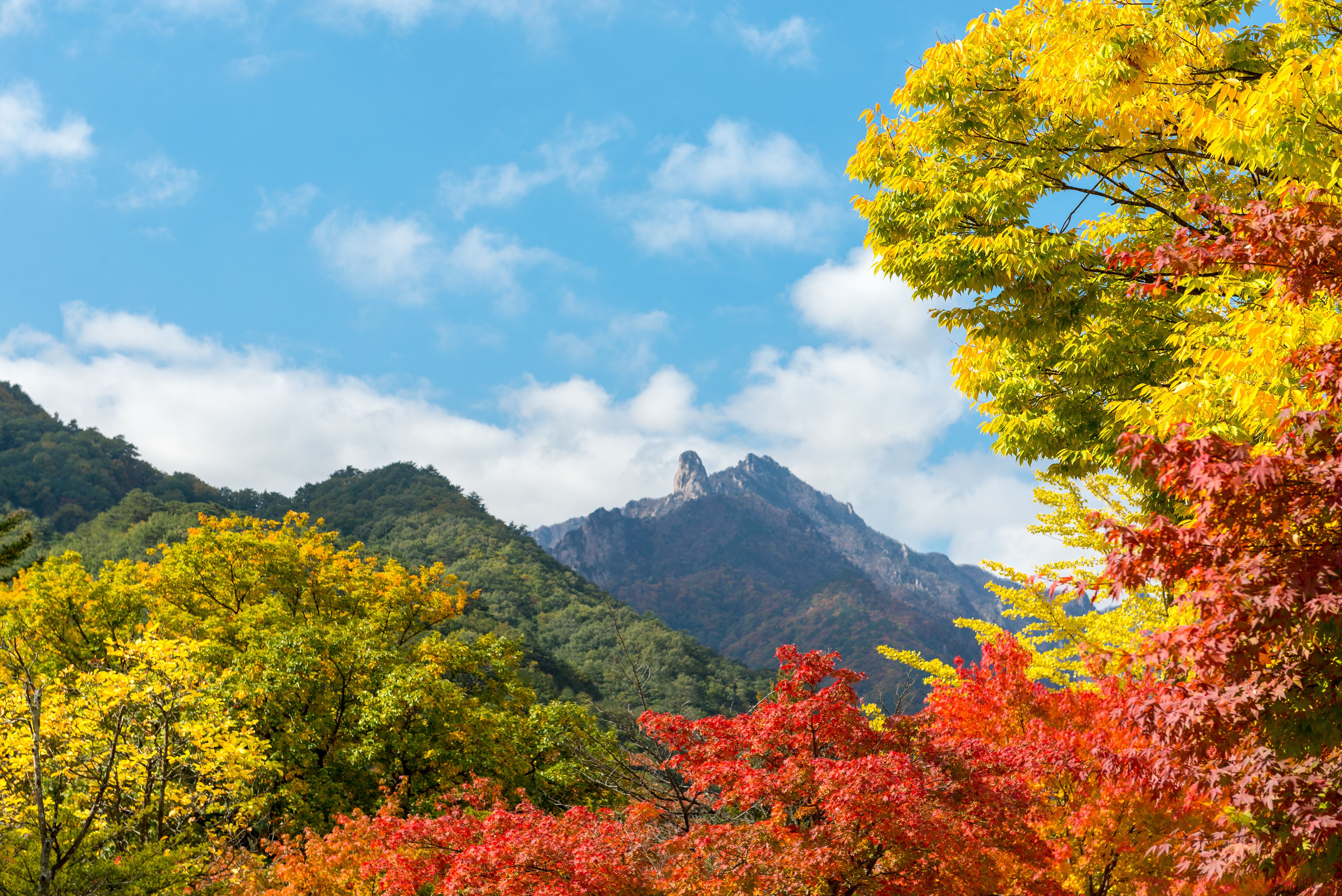 雪嶽山