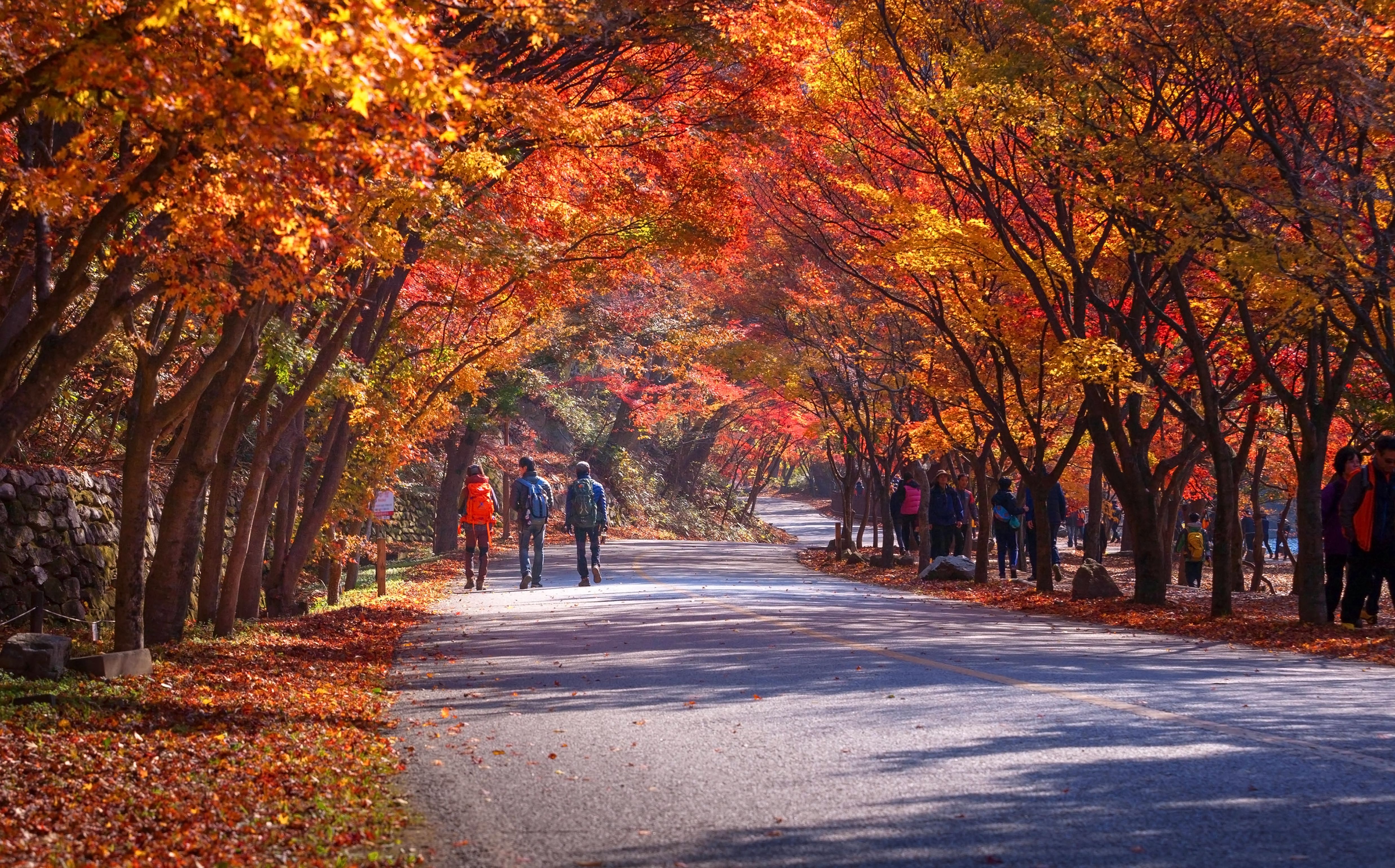 內藏山國立公園
