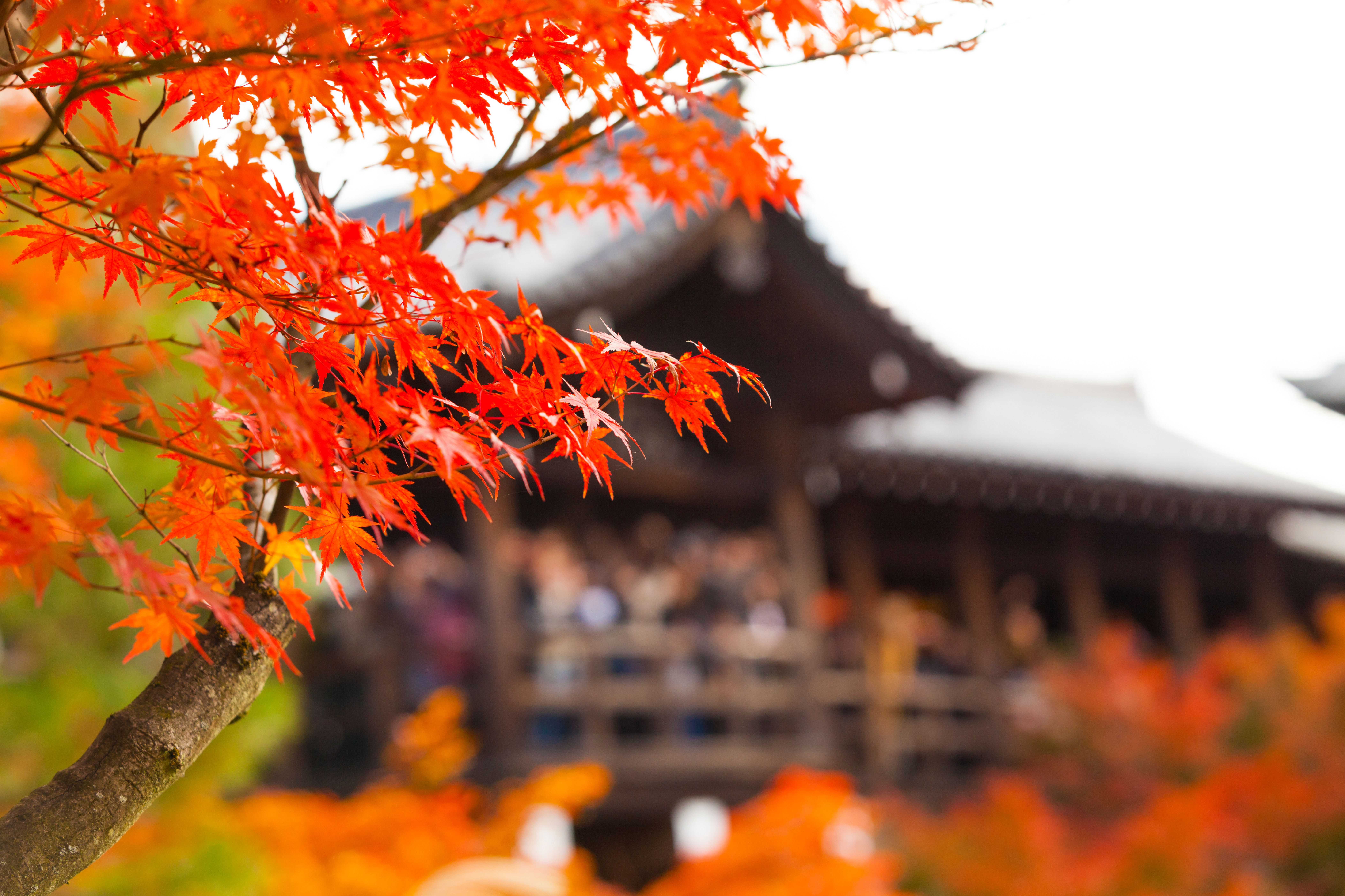 東福寺